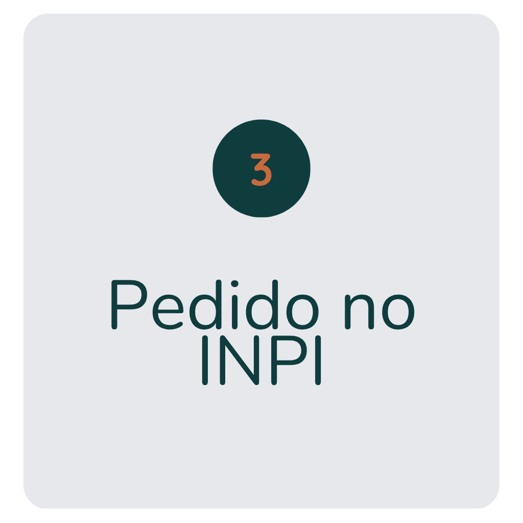 etapas 3