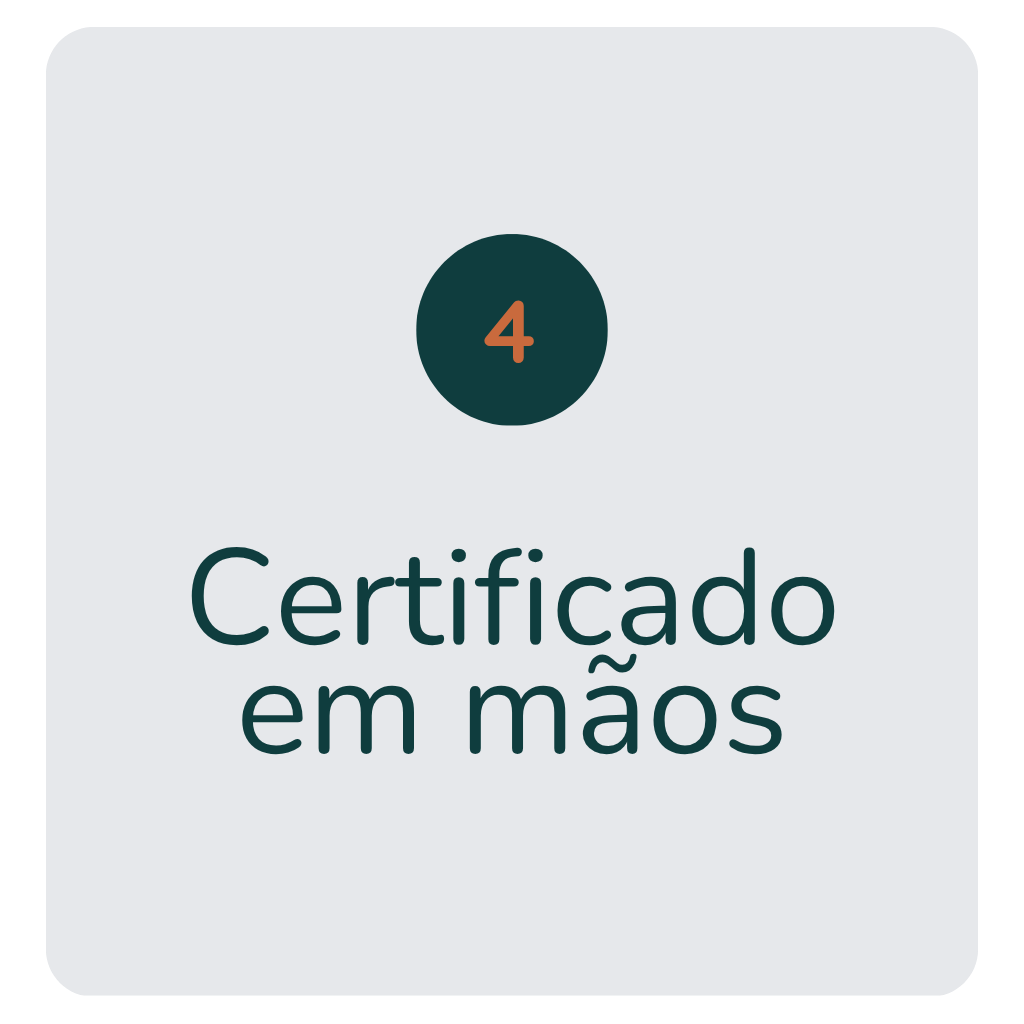 etapas 4